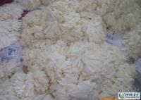 大量0各种颜色乳胶手套废品[供应]_工业用橡胶制品_世界工厂网中国产品信息库